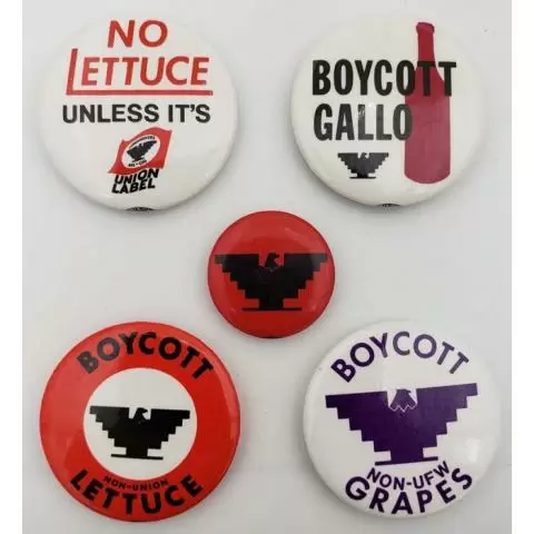 1970's United Farm Workers Boycott Lettuce Button 