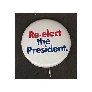 Re-elect the President Button