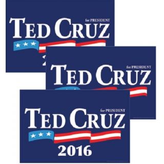 Ted Cruz for President 2016 Rally Signs Poster