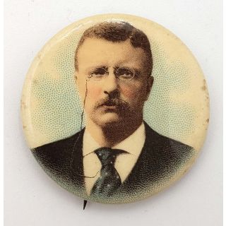 1904 Theodore Roosevelt Presidential Campaign Photo Button